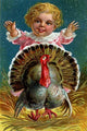 Thanksgiving Greetings Vintage Postcard Poster Print featuring a girl chasing a turkey.