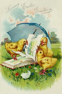 Three baby chicks under an umbrella leaf vintage postcard poster print.