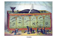 Circus Fish Parade Poster Print featuring colorful fish and a whale