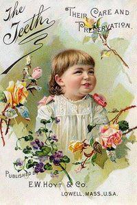 Victorian Trade Card Advertising Rubifoam Poster Print