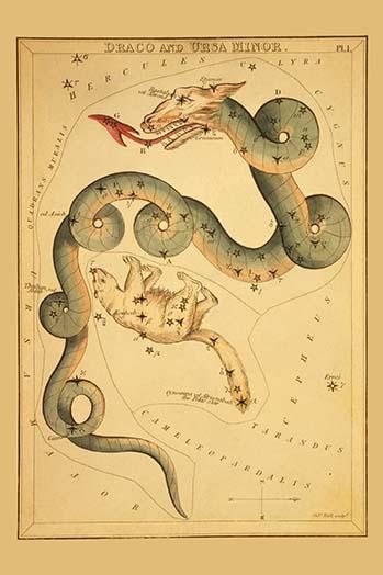 Astronomical chart poster featuring dragon and bear constellations by Aspin Jehosaphat.