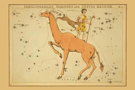 Astronomical Chart Poster Print showing camel, shepherd, and reindeer constellations by Aspin Jehosaphat.