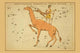 Astronomical Chart Poster Print showing camel, shepherd, and reindeer constellations by Aspin Jehosaphat.