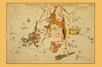 Hercules vs. Cerberus Astronomical Chart Poster Print by Aspin Jehosaphat