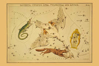Astronomical chart poster print featuring a swan, lyre, lizard, and fox.