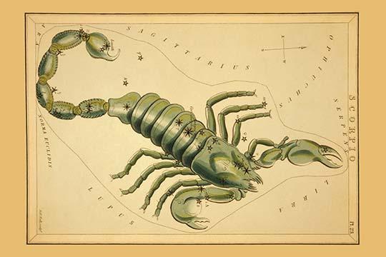 Scorpio Constellation Astronomical Chart Poster Print by Aspin Jehosaphat