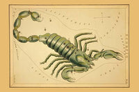 Scorpio Constellation Astronomical Chart Poster Print by Aspin Jehosaphat