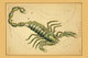 Scorpio Constellation Astronomical Chart Poster Print by Aspin Jehosaphat