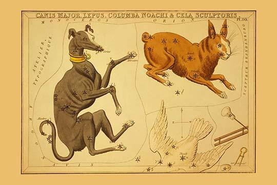 Astronomical chart poster featuring dog, rabbit, dove, and sculpting tools forming constellations.
