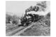 Train of the Northern Pacific Railway Co. Oregon Poster Print