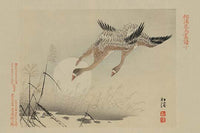Flying Cranes Vintage Art Print - Elegant bird artwork