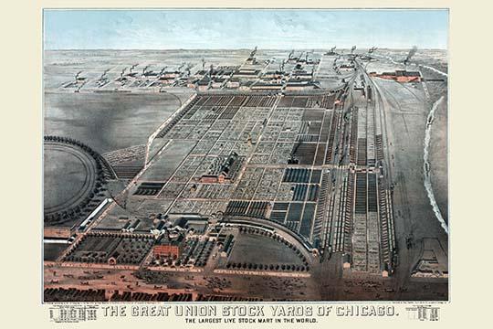 The Great Union Stock Yards of Chicago Poster Print by Charles Rascher