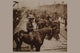 Poster print of a crowded scene with horses and riders disembarking from trains at Tampa.