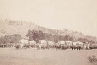 Several Ox Teams and Wagons in a Valley Poster Print by John C.H. Grabill