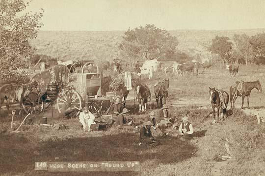 Cowboys at the Chuck Wagon Poster Print by John C.H. Grabill featuring horses and cattle.