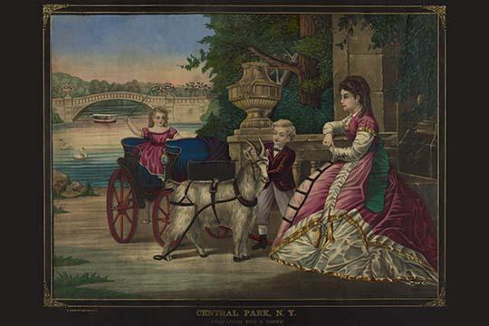 Preparing for a Drive in Central Park vintage poster print featuring a boy and goat.