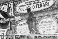Sign for a Free Show at Coney Island Poster Print showcasing vintage amusement park charm.