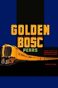 Vintage Diesel Passenger Train Crate Label Poster Print showcasing a powerful train.