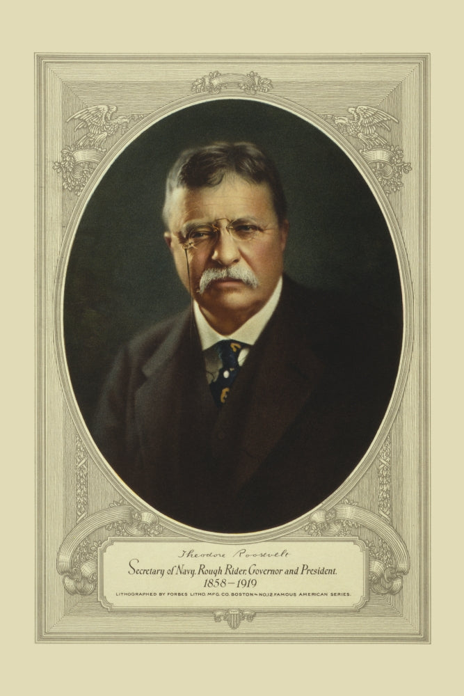 Theodore Roosevelt head-and-shoulders oval portrait poster print.