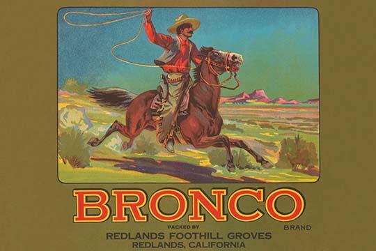 Cowboy swinging lasso from horseback on vintage crate label art print.