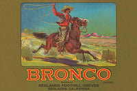 Cowboy swinging lasso from horseback on vintage crate label art print.