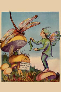 Elf Needs His Socks Darned by a Dragonfly on a Mushroom Poster Print