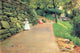 William Merritt Chase Impressionist Poster Print
