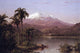 Palms in the Amazon Jungle Poster Print by Frederic Edwin Church