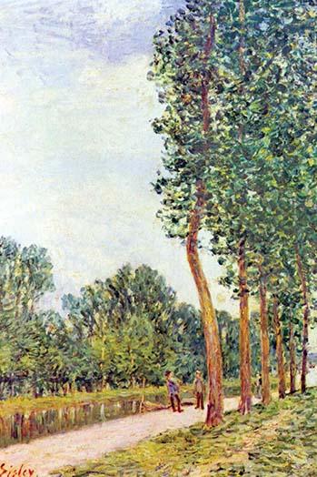 Tree Lined Avenue in the Countryside art print by Alfred Sisley