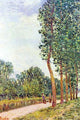 Tree Lined Avenue in the Countryside art print by Alfred Sisley