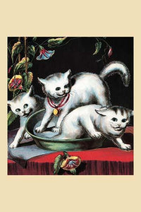 Poster print of three kittens jumping in surprise