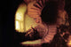 The Philosopher Contemplating Poster Print by Rembrandt Van Rijn
