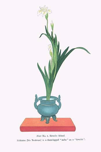Ichihatsu (Iris Tectorum) Ikebana Print by Josiah Conder