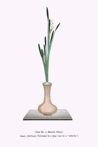 Suisen 'Bird's Eye Narcissus' Ikebana Flower Arrangement Poster Print by Josiah Conder.
