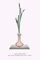 Suisen 'Bird's Eye Narcissus' Ikebana Flower Arrangement Poster Print by Josiah Conder.