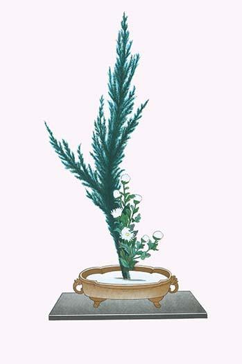Ibuki & Shiragiku Ikebana Poster Print by Josiah Conder featuring Cypress and White Chrysanthemum leaves.