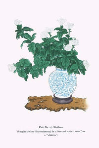 Shiragiku (White Chrysanthemum) Ikebana Poster Print by Josiah Conder featuring blue and white vase.