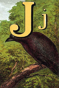 Illustrated Letter from The Nursery Alphabet Poster Print by Edmund Evans
