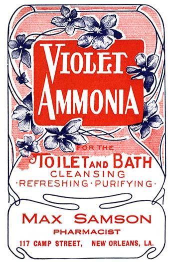 Cleaning Agent Poster Print for Bathroom and Toilet Decor