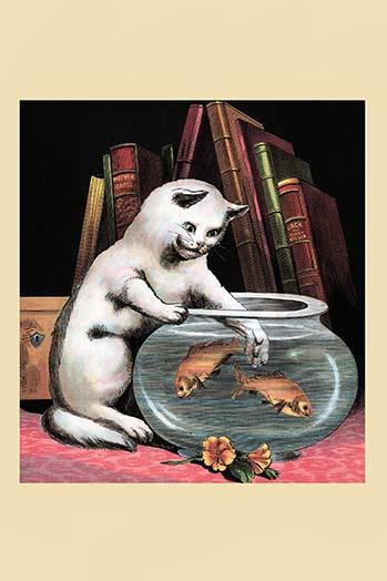 Curious cat reaching into fish bowl for goldfish poster print