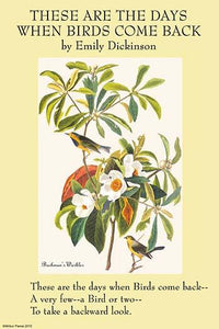 Bachman's Warbler illustrated print by James Audubon, showcasing detailed bird art.