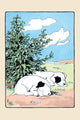 Two little dogs sleeping curled up tight illustration by Julia Dyar Hardy.