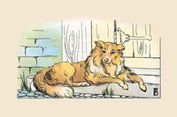 Old Prince Collie Illustration Poster Print by Frances Beem