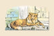 Old Prince Collie Illustration Poster Print by Frances Beem