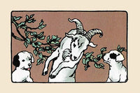 Two fox terriers meeting a Billy goat illustration by Julia Dyar Hardy.
