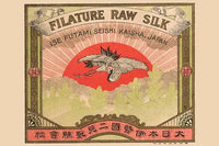 Bird of Prey Over Red Rising Sun Poster Print featuring a majestic bird against a vibrant red sun.