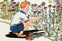 A Boy Cuts Flowers to Create a Beautiful Bouquet Poster Print by Julia Letheld Hahn