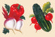 Vintage decal print featuring turnips, radish, cucumber, and red pepper.