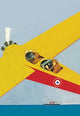 English propeller plane overseeing a cruise ship poster print