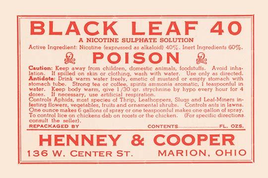 1920s vintage pharmacy bottle label poster print